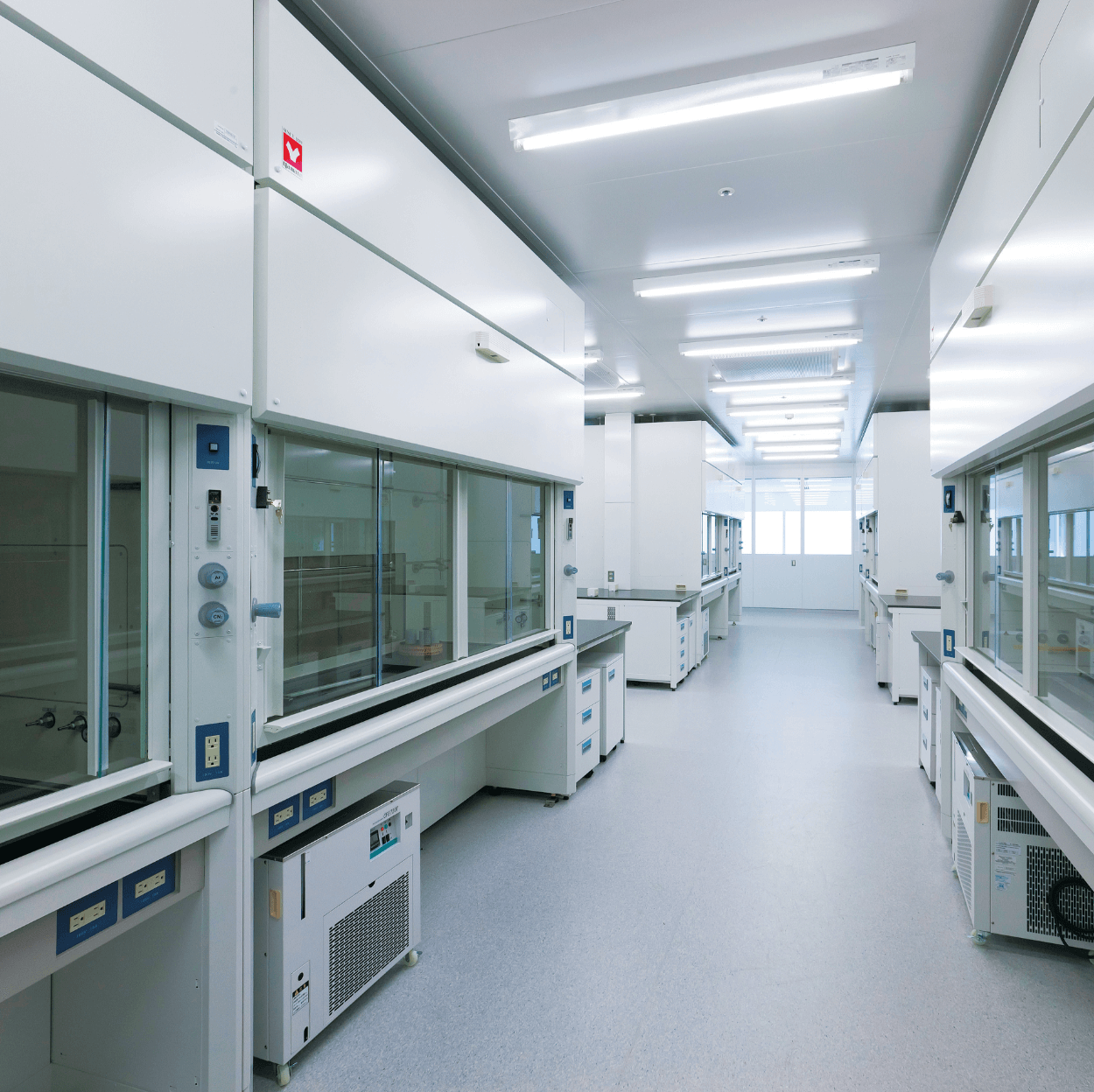 細胞培養の受託