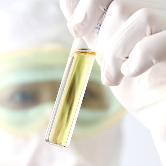 「ヒト羊膜由来幹細胞順化培養液」を50%配合