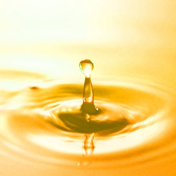 最先端の幹細胞研究に携わる研究者が開発