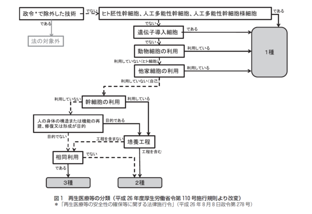 図1. 再生医療等のリスク分類のフローチャート<sup>2)</sup>