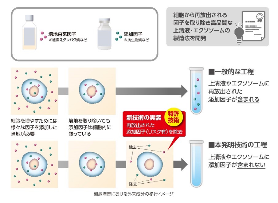 特許取得技術イメージ画像